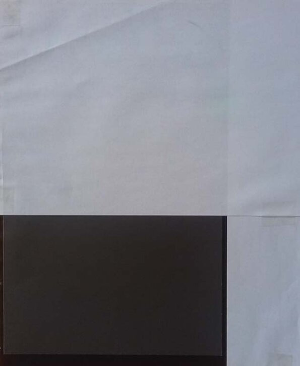 56.4